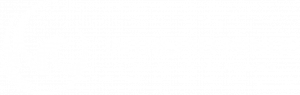 Intrepid Minds